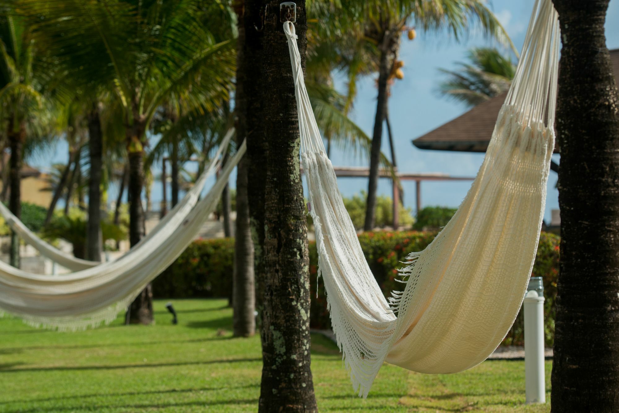 Отель Wish Натал Экстерьер фото Hammocks at a resort